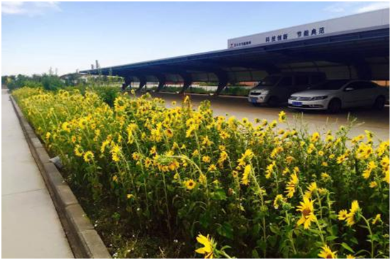 “华体会（中国）精神-戈壁滩走出来的公司” ——新疆天之丰节能板材有限公司